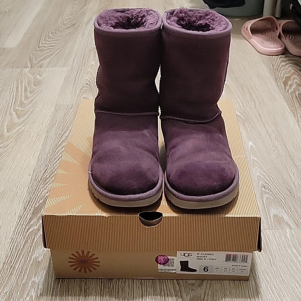 Classic UGG short - Picture 1 of 7